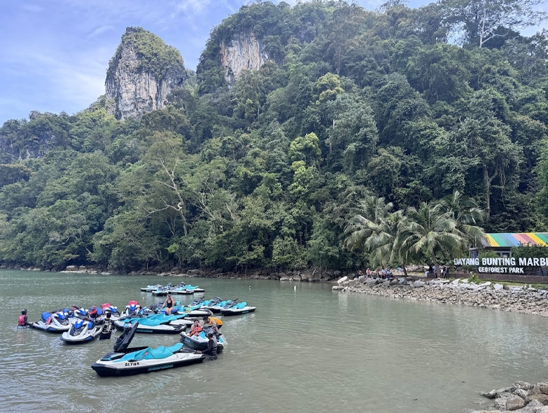 Mangrove Tour by Jet Sk