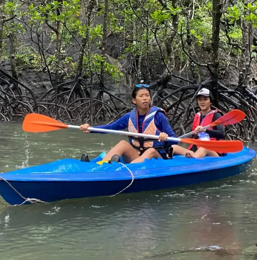 Mangrove Tour By Kayak