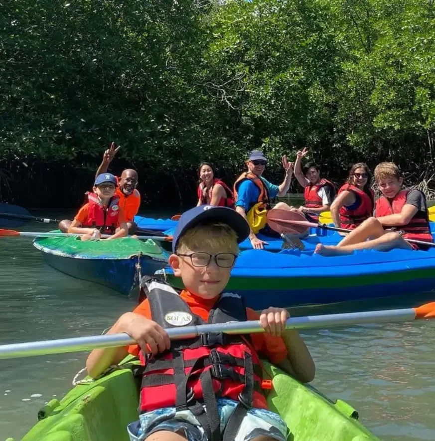 Small group mangrove kayak tour exploring hidden beauty