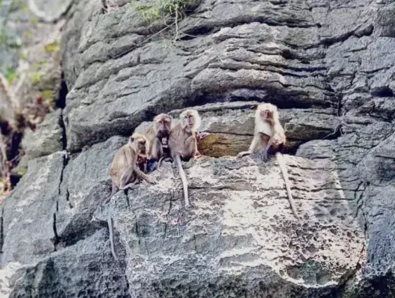 2-Hour Shared Boat Package