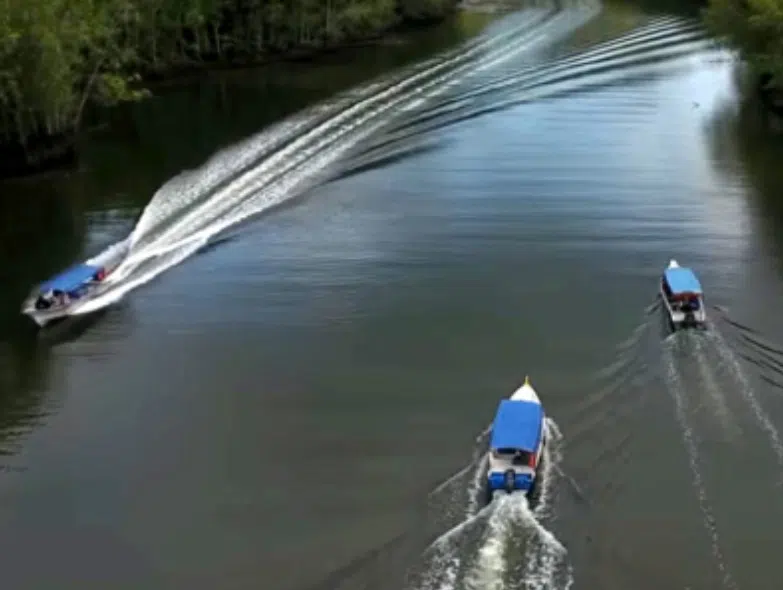 4-Hour Shared Boat Package