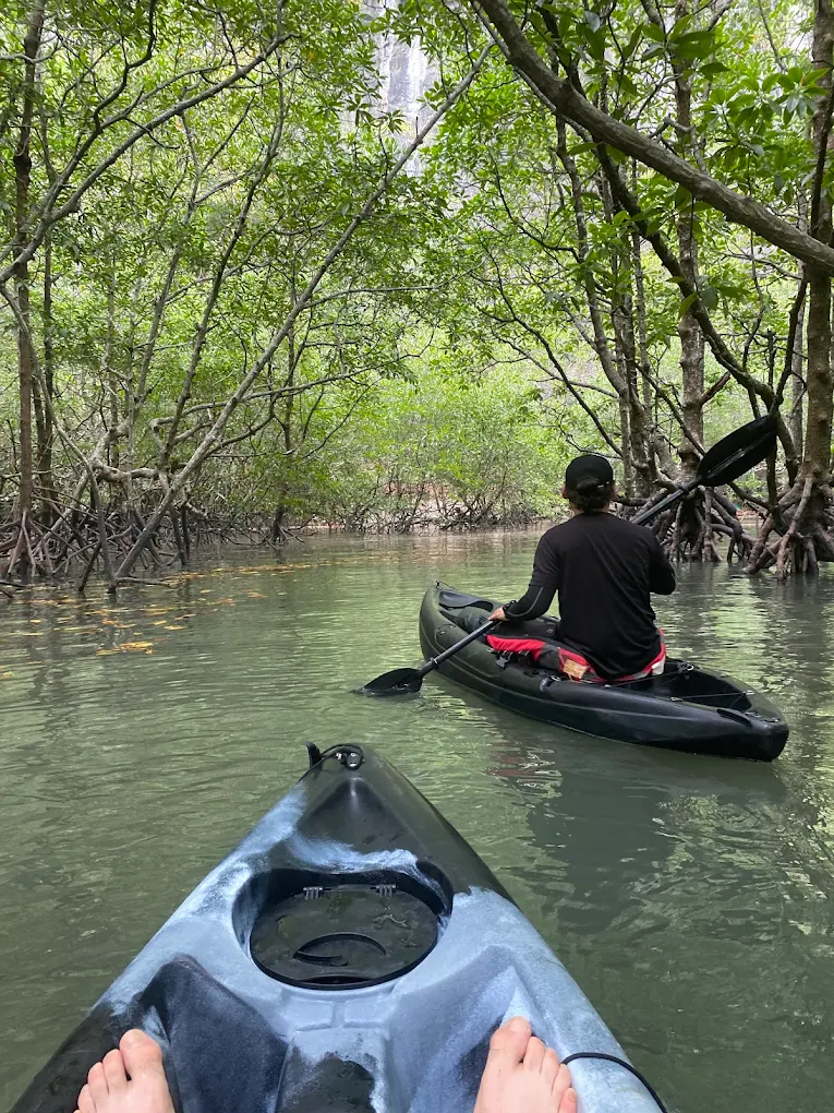 Kayak Tour