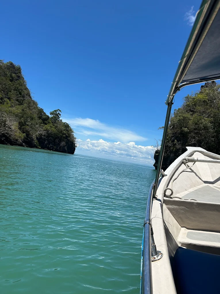 Mangrove Tour