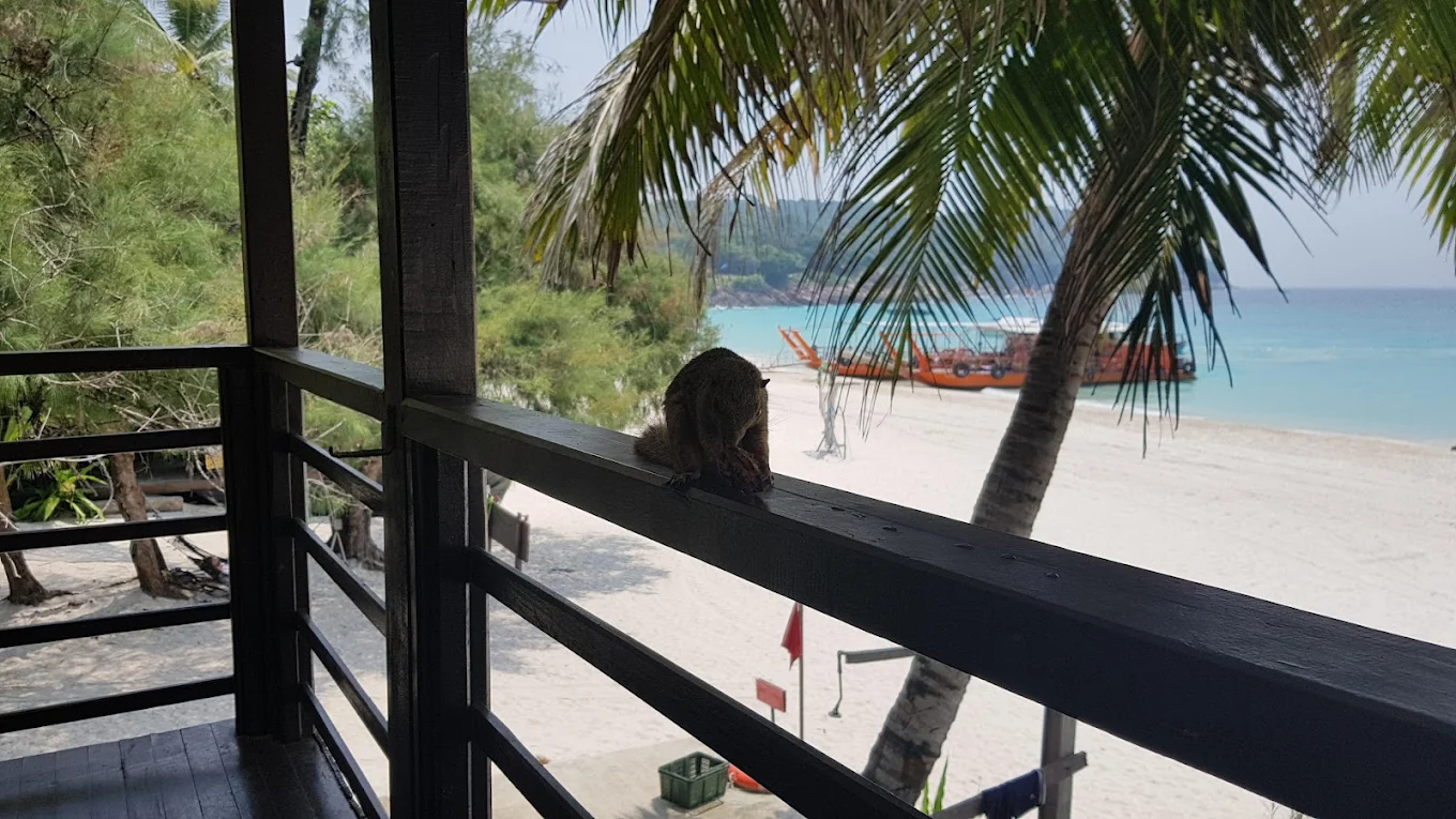 2D1N Fauna Beach Chalet