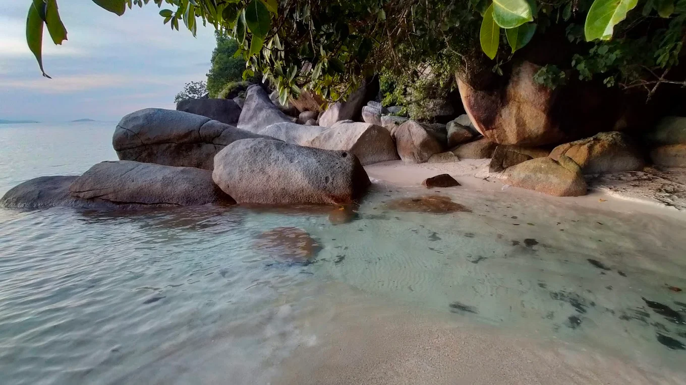 3D2N Fauna Beach Chalet