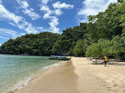 Mangrove Tour Package C, Pasir Panjang Beach